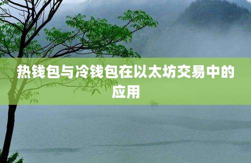 热钱包与冷钱包在以太坊交易中的应用