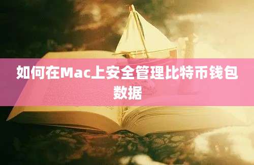 如何在Mac上安全管理比特币钱包数据