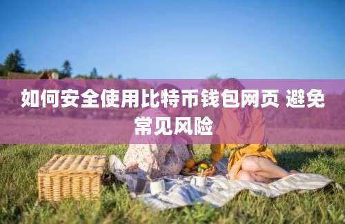 如何安全使用比特币钱包网页 避免常见风险