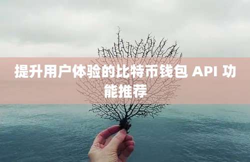 提升用户体验的比特币钱包 API 功能推荐